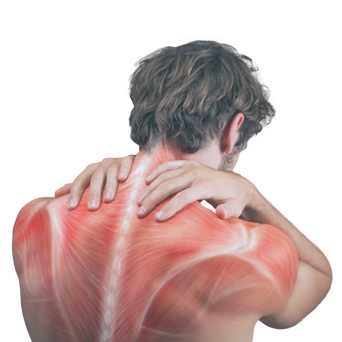 How to Self-Massage Trapezius Muscle