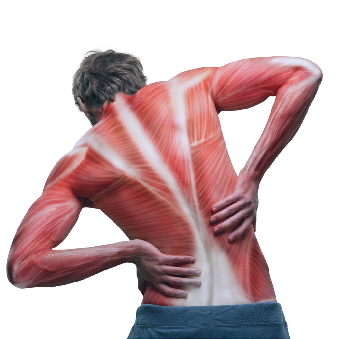 Why you are suffering chronic back pain
