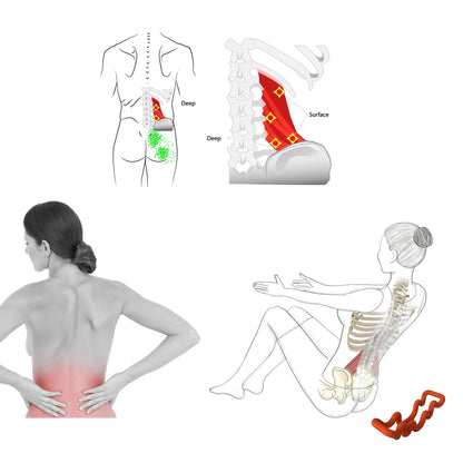 Deep tissue massage tool for quadratus lumborum and lower back knots