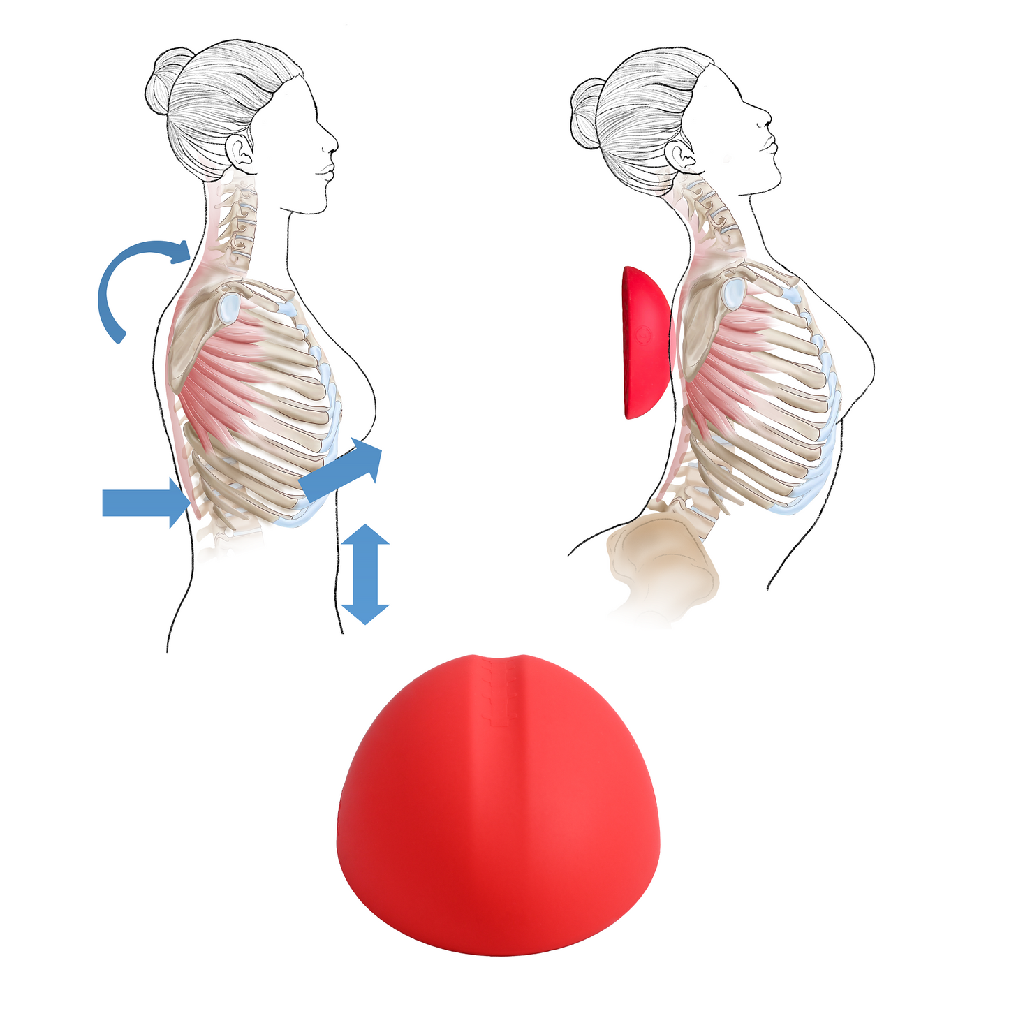Thoracic stretcher for pectoral stretching and thoracic outlet syndrome care