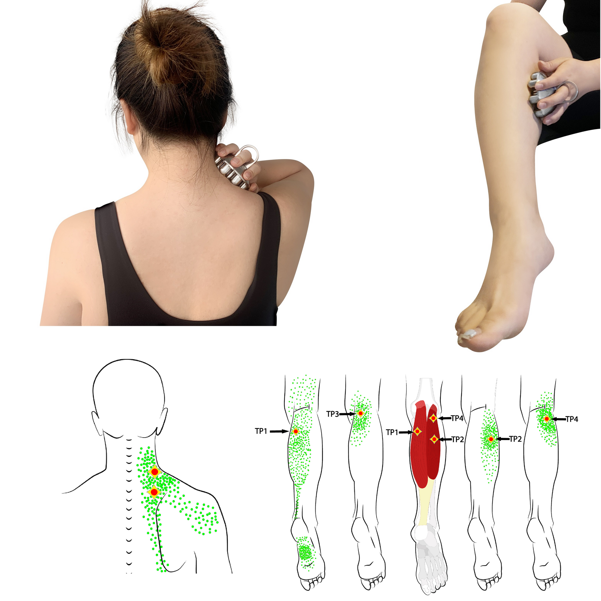 Myofascial massage tool for neck, shoulder and calf muscles