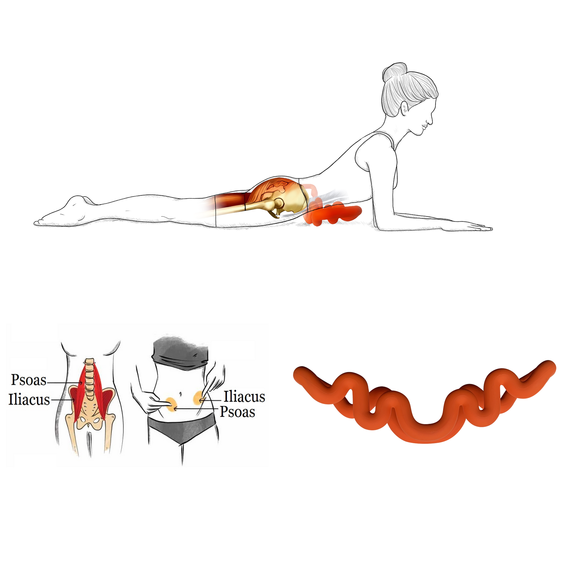Reversible back stretcher for supported spinal extension