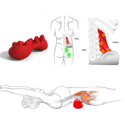 Quadratus lumborum trigger points with deep back massage position