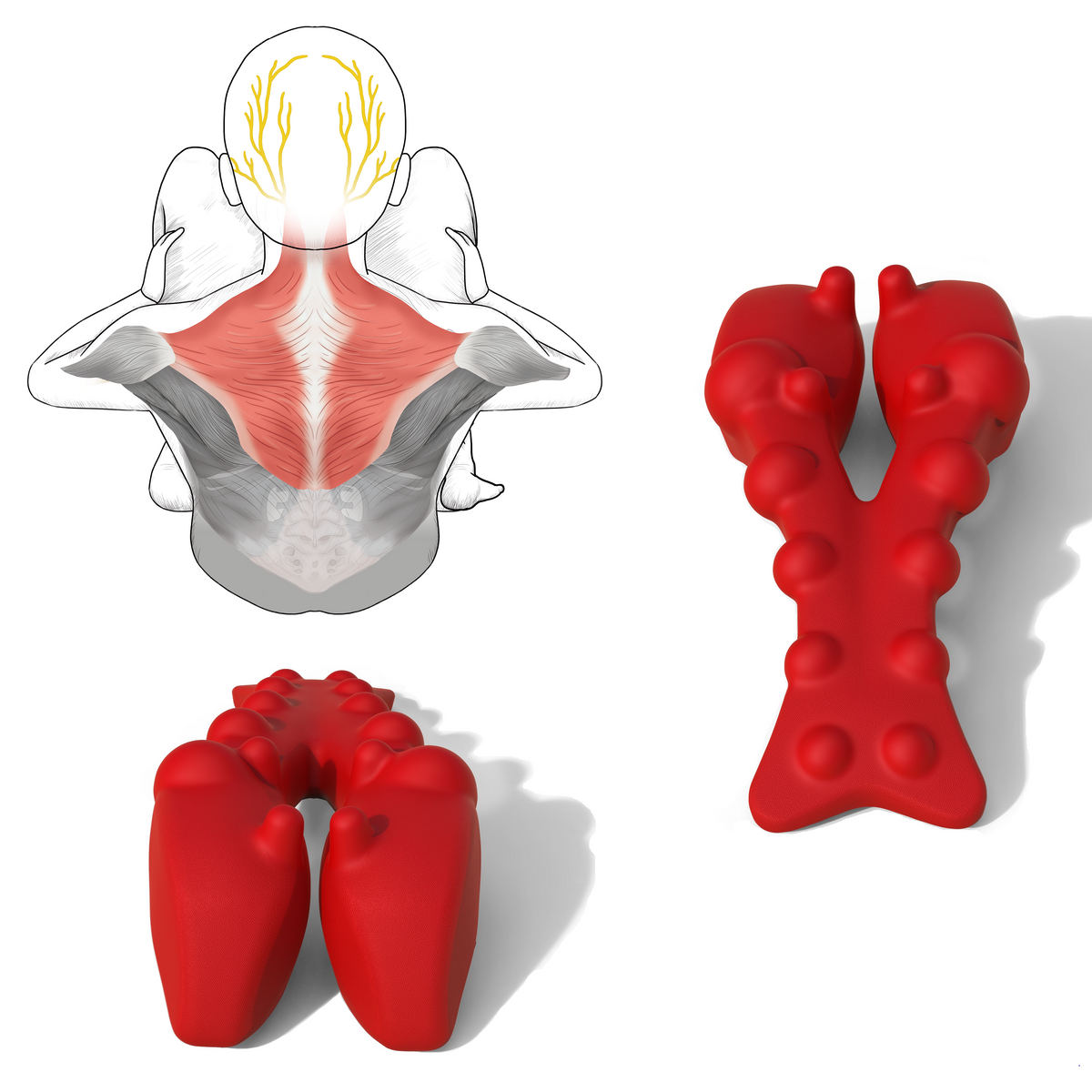 LittleMum Trapezius Trigger Point Massager for neck and shoulder muscle knots