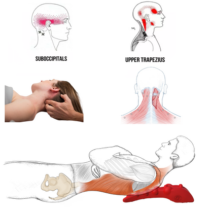 Upper trapezius and suboccipital trigger point massage positions